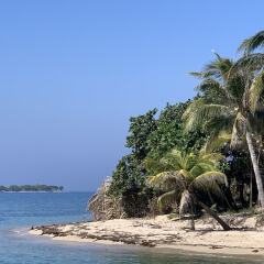 Villa ROA in Roatan, Honduras from 326$, photos, reviews - zenhotels.com photo 10