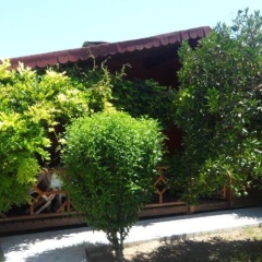 Windmolen Apart Bungalows - Bild 4