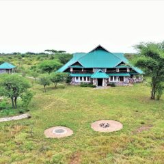 Africa Safari Serengeti Ikoma in Serengeti National Park, Tanzania from 230$, photos, reviews - zenhotels.com photo 27