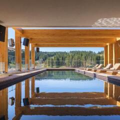 Viceroy Kopaonik Serbia in Kopaonik, Serbia from 125$, photos, reviews - zenhotels.com photo 49