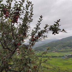 Paro Village View Home Stay in Paro, Bhutan from 76$, photos, reviews - zenhotels.com photo 2