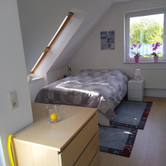 Münsterblick - Bild 3