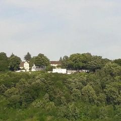 Hotel Restaurant Rheinkrone Koblenz - Bild 13