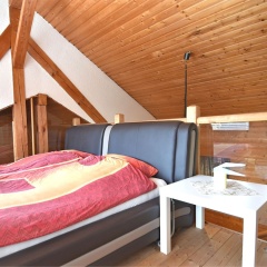 Beautiful Gallery Apartment in Passau With Separate Entrance and a Large Terrace - Bild 5