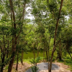 No.36 Phuket - Bild 15