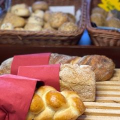 GAIA Hotel Basel - the sustainable hotel - Bild 11