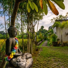 The Pandan Tree Villas - Bild 10
