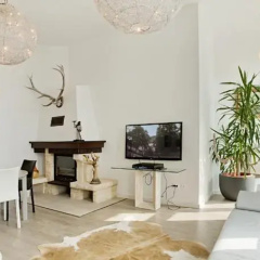 Luxury Design Apartment with Spree View thumbnail 1