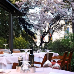 Scarpati Hotel - Bild 11