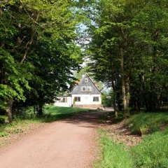 Sängerwiese - Bild 2