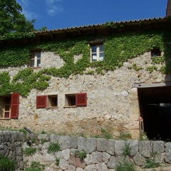 Finca Honor Vell - Bild 16