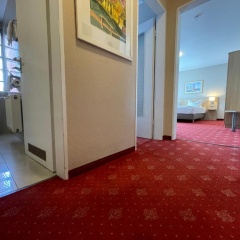 Hafner Hotel- Apartment - Bild 18