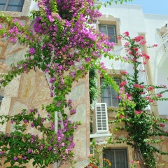 Siesta Beach & Apart Hotel - Bild 1