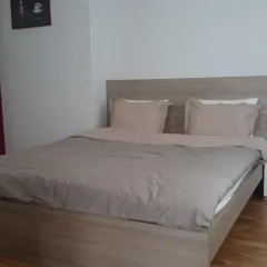 Gurko Apartment thumbnail 8