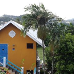 Buttercup Cottage Apartments in Bequia, St. Vincent and the Grenadines from 96$, photos, reviews - zenhotels.com photo 24