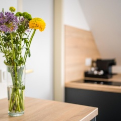Servus Apartments by Homaris - Bild 15