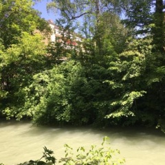 Apartment am Bach - Bild 12