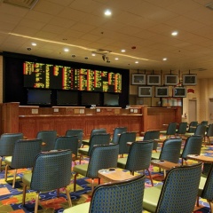 California Hotel and Casino - Bild 20