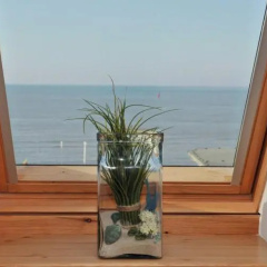 Seeblume - Bild 9