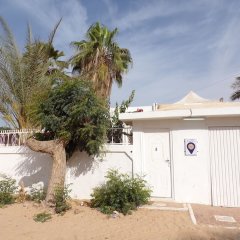 Le Triskell Auberge - Hostel in Nouakchott, Mauritania from 36$, photos, reviews - zenhotels.com photo 31