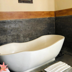Villa JJ and Spa Ubud - Bild 6