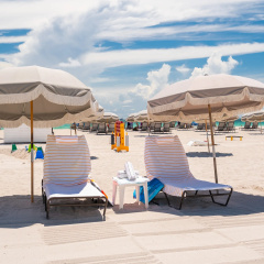 The Plymouth South Beach thumbnail 30