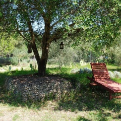 Beautiful Villa With Private Swimming Pool in Selva - Bild 16