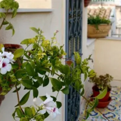 The Charme Ares- Bed and Breakfast thumbnail 12