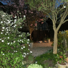Beautiful Apartment in Hamelin With Garden - Bild 5