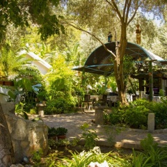 Sunmed Lodge - Bild 2