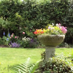 Yew Tree Cottage thumbnail 1