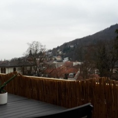 Altstadtblick - Bild 6