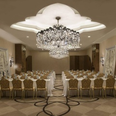 Delphin Imperial - Bild 22