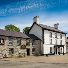 Y Talbot Tregaron thumbnail 22
