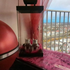 Sky-Romantic-Room - Bild 6