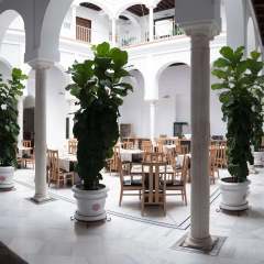 Hotel Boutique Palacio Pinello - Bild 20
