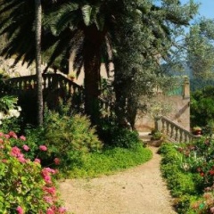 Finca sa Màniga - Bild 8