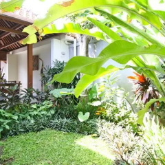 Coconut Villa Sanur - Bild 8