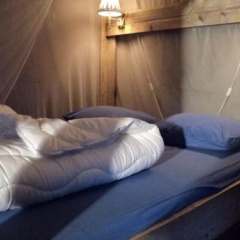 Veluwe camping De Pampel thumbnail 4