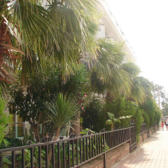 Nex Royal Beach Hotel - Bild 23