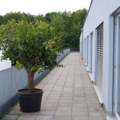Zar-Hotel Vitalis - Bild 24