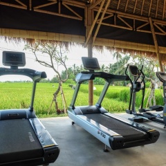 Visesa Ubud Resort - Bild 29