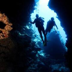 Flying Annie Moa in Otea, Tonga from 166$, photos, reviews - zenhotels.com outdoors photo 2