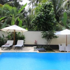 Villa Kupu Kupu Lovina - Bild 6
