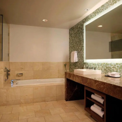 Fairmont Pittsburgh thumbnail 11