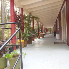 Yosemite Paradise Inn thumbnail 5