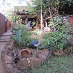 Le Karite Bleu in Ouagadougou, Burkina Faso from 165$, photos, reviews - zenhotels.com