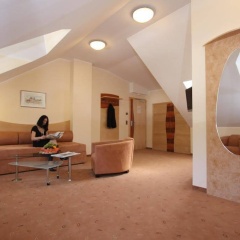 Hotel Passauer Wolf - Bild 23