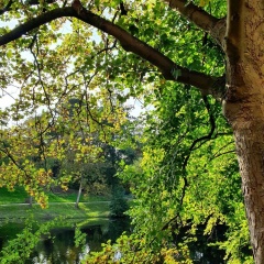 City Park Flair - Bild 10