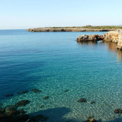 Hotel Pinomar - Bild 13